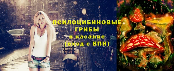 герыч Вяземский