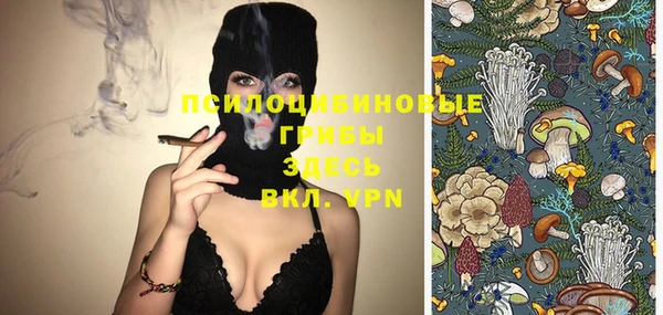 герыч Вяземский