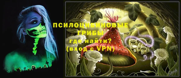 герыч Вяземский