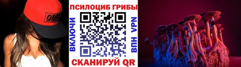 Галлюциногенные грибы Cubensis  Ростов-на-Дону 